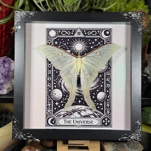 Puede incluir: Una obra de arte enmarcada con una polilla verde p&aacute;lido sobre un dise&ntilde;o de carta de tarot en blanco y negro. La carta representa elementos celestiales, planetas y el texto "The Universe". El marco es negro con esquinas plateadas decorativas.