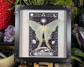 May include: A framed artwork featuring a pale green moth set against a black and white tarot card design. The card depicts celestial elements, planets, and the text "The Universe". The frame is black with decorative silver corners.