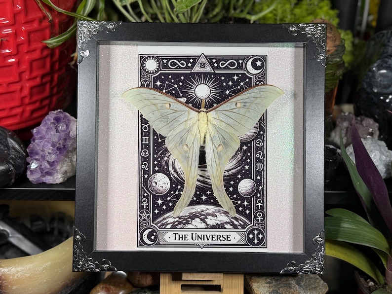 Puede incluir: Una obra de arte enmarcada con una polilla verde p&aacute;lido sobre un dise&ntilde;o de carta de tarot en blanco y negro. La carta representa elementos celestiales, planetas y el texto "The Universe". El marco es negro con esquinas plateadas decorativas.