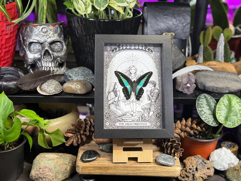 May include: A framed black and white illustration of a butterfly with turquoise wings, labeled "The High Priestess." The artwork is displayed on a wooden easel, surrounded by plants, rocks, and a skull-shaped decorative item.