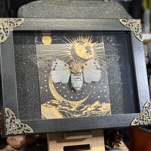 May include: A framed insect display featuring a cicada with detailed wings, set against a celestial background with a moon and stars. The black frame has ornate corner accents, creating a vintage aesthetic. The artwork is displayed on a wooden easel.