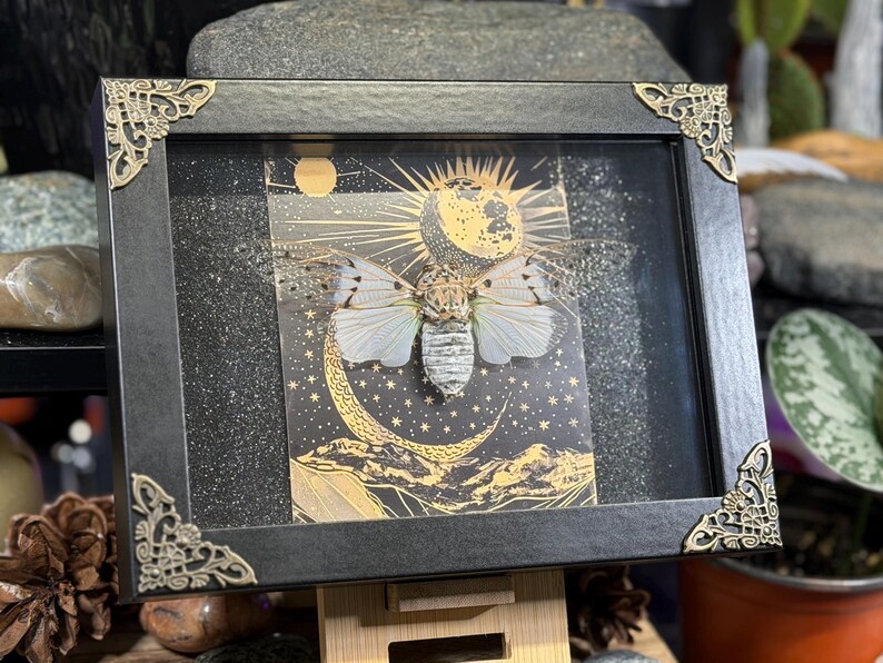 May include: A framed insect display featuring a cicada with detailed wings, set against a celestial background with a moon and stars. The black frame has ornate corner accents, creating a vintage aesthetic. The artwork is displayed on a wooden easel.