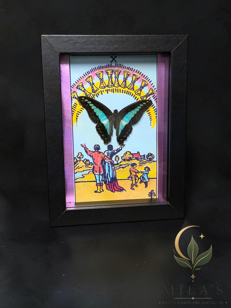 Puede incluir: Un marco negro tipo caja que contiene una ilustraci&oacute;n de la carta del tarot Diez de Copas con una mariposa central de alas negras y turquesas. La obra muestra a dos figuras con los brazos levantados hacia un arco&iacute;ris de diez copas doradas.