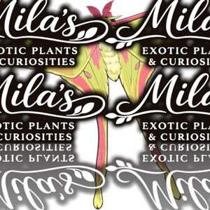 May include: The logo for "Mila's Exotic Plants & Curiosities" displays a moth with yellow and pink wings. The name "Mila's" is in a cursive font, and the business name is in a serif font. The design is set against a white background.