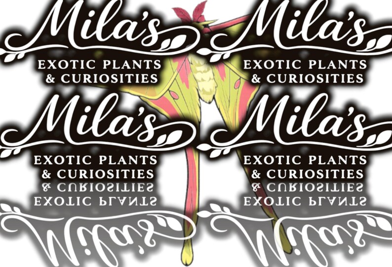 May include: The logo for "Mila's Exotic Plants & Curiosities" displays a moth with yellow and pink wings. The name "Mila's" is in a cursive font, and the business name is in a serif font. The design is set against a white background.