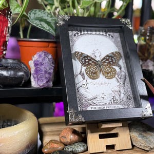 Może przedstawiać: Oprawiona czarna grafika z srebrnymi narożnikami, przedstawiająca motyla z brązowo-białymi wzorami. Grafika jest umieszczona na czarno-białej ilustracji. Tekst "THE HIGH PRIESTESS" znajduje się na dole.