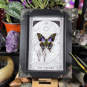K&ouml;nnte beinhalten: Ein gerahmtes Kunstwerk mit einem Schmetterling mit blauen und gr&uuml;nen Fl&uuml;geln, vor einem schwarz-wei&szlig;en Himmelsgrund. Der Rahmen ist schwarz mit verzierten silbernen Eckdetails, und der Text "THE LOVERS" ist unten sichtbar.