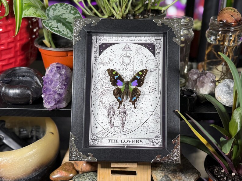 K&ouml;nnte beinhalten: Ein gerahmtes Kunstwerk mit einem Schmetterling mit blauen und gr&uuml;nen Fl&uuml;geln, vor einem schwarz-wei&szlig;en Himmelsgrund. Der Rahmen ist schwarz mit verzierten silbernen Eckdetails, und der Text "THE LOVERS" ist unten sichtbar.