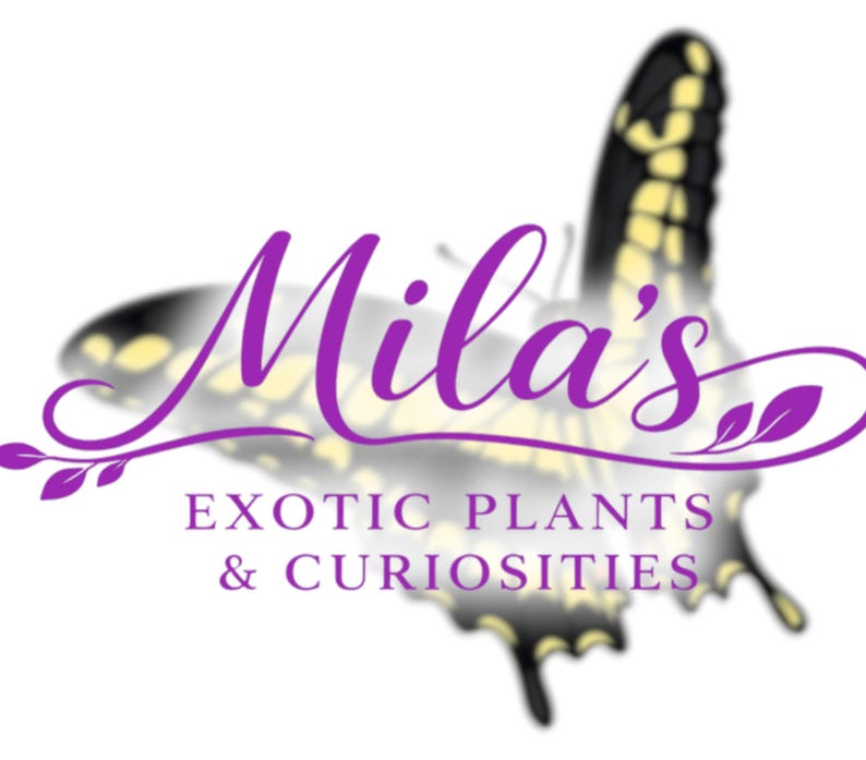 May include: Logo for Mila's Exotic Plants & Curiosities. The logo features the name "Mila's" in a stylized purple script, with a butterfly design in the background. The text "EXOTIC PLANTS & CURIOSITIES" is below the name.