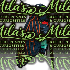 May include: A graphic featuring the text "Mila's Exotic Plants & Curiosities" in a stylized green font. A detailed illustration of a cicada with black, orange, and teal accents is centered in the image.