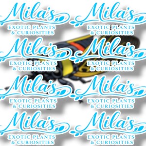 K&ouml;nnte beinhalten: Wiederholendes Muster von Aufklebern mit dem Text "Mila's Exotic Plants & Curiosities" in hellblauer Schrift. Eine detaillierte Illustration eines gelben, schwarzen und roten Insekts ist ebenfalls vorhanden.