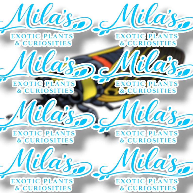 K&ouml;nnte beinhalten: Wiederholendes Muster von Aufklebern mit dem Text "Mila's Exotic Plants & Curiosities" in hellblauer Schrift. Eine detaillierte Illustration eines gelben, schwarzen und roten Insekts ist ebenfalls vorhanden.