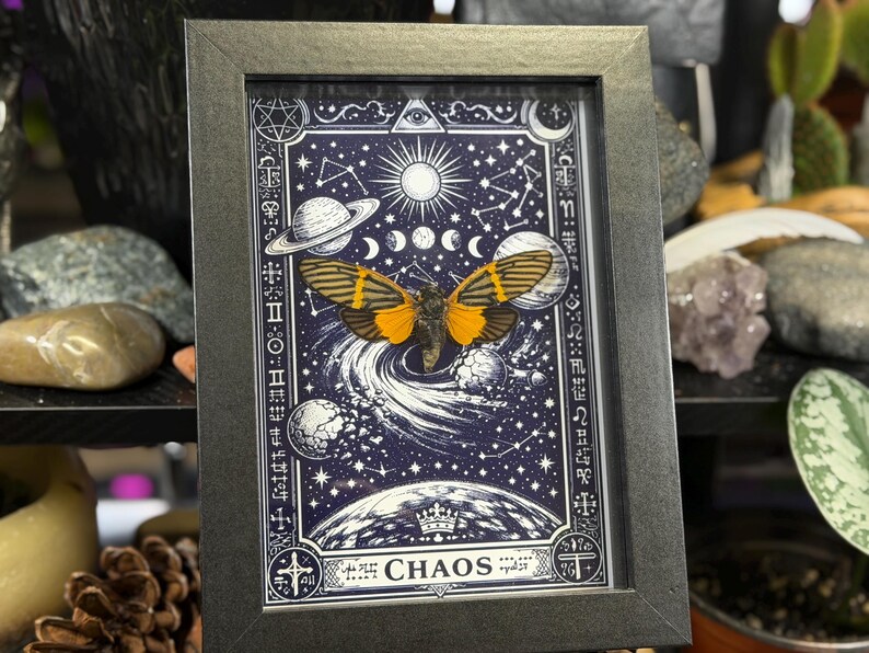 May include: Framed artwork featuring a celestial design with a central image of a butterfly with orange and black wings. The artwork is set against a dark blue background with planets, stars, and the word "CHAOS" at the bottom.