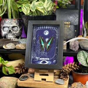 Puede incluir: Una impresi&oacute;n enmarcada con una mariposa de alas azules y verdes, sobre un fondo azul oscuro con elementos celestiales. La impresi&oacute;n se exhibe en un caballete de madera, rodeada de plantas y objetos decorativos.