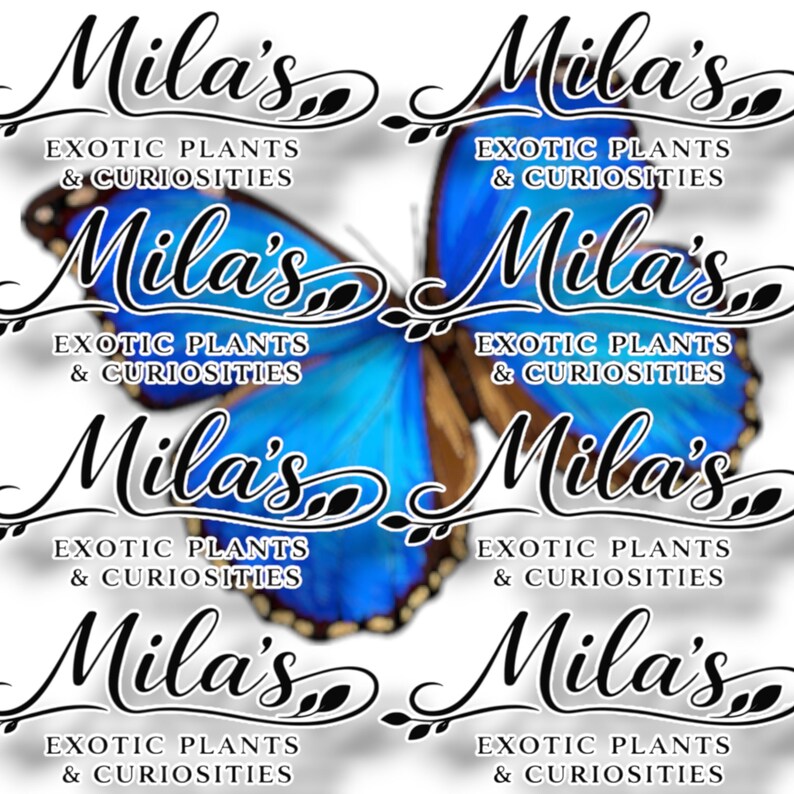 May include: A graphic design featuring a blue butterfly with brown accents. The text "Mila's Exotic Plants & Curiosities" is repeated multiple times in a stylized font, creating a decorative pattern.
