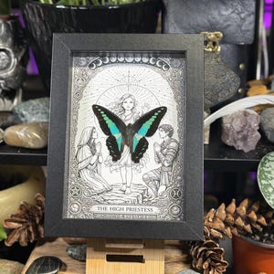 May include: A framed artwork featuring a black and white illustration of a woman with a butterfly. The butterfly has teal and black wings. The artwork is titled "THE HIGH PRIESTESS". The frame is black.
