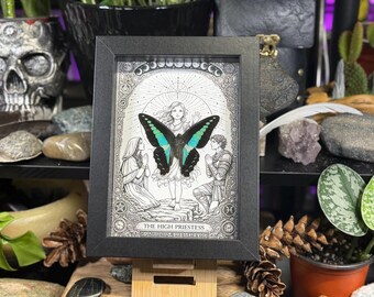 Framed Butterfly Blue Bottleneck ‘The High Priestess’ Custom Tarot Gothic Wall Art - Graphium Sarpedon