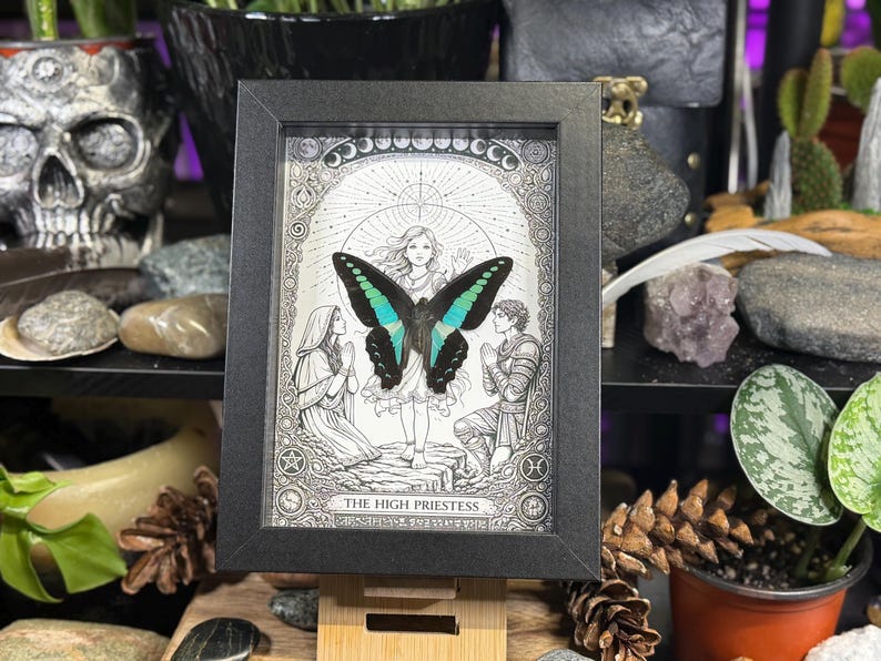 May include: A framed artwork featuring a black and white illustration of a woman with a butterfly. The butterfly has teal and black wings. The artwork is titled "THE HIGH PRIESTESS". The frame is black.