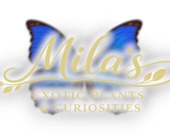May include: A logo featuring the name "Mila's" in a cursive font, overlaid on a blurred image of a butterfly with blue and brown wings. The text "EXOTIC PLANTS & CURIOSITIES" is below the name.