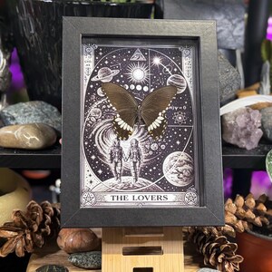 Puede incluir: Una obra de arte enmarcada con una mariposa de alas marrones oscuras y marcas blancas. La obra tiene un marco negro y representa una escena celestial con planetas, estrellas y las palabras "THE LOVERS". El tema general es m&iacute;stico y esot&eacute;rico.
