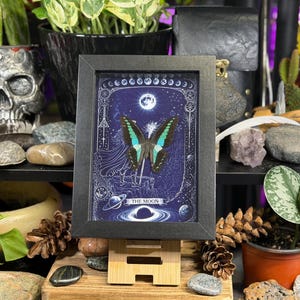 Puede incluir: Una impresi&oacute;n enmarcada que presenta una mariposa con alas turquesas y negras, sobre un fondo azul oscuro con elementos celestiales. La impresi&oacute;n est&aacute; etiquetada como "THE MOON" y se muestra en un caballete de madera, rodeada de plantas y objetos decorativos.