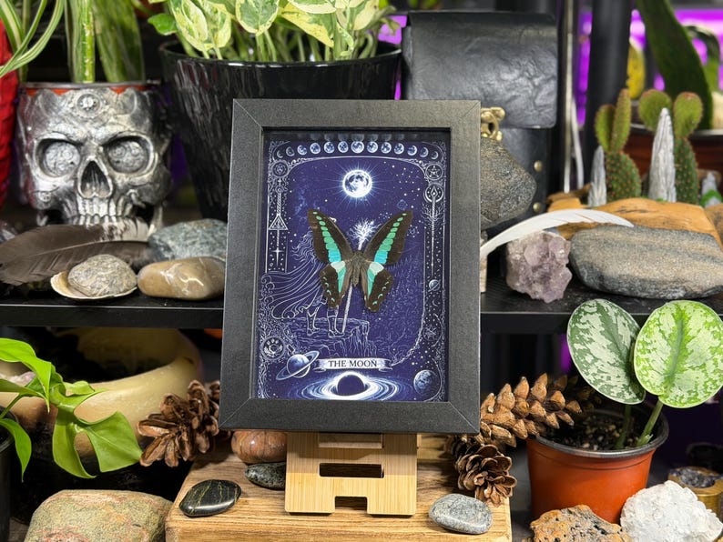 Puede incluir: Una impresi&oacute;n enmarcada que presenta una mariposa con alas turquesas y negras, sobre un fondo azul oscuro con elementos celestiales. La impresi&oacute;n est&aacute; etiquetada como "THE MOON" y se muestra en un caballete de madera, rodeada de plantas y objetos decorativos.