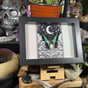 May include: A framed artwork featuring a butterfly with blue and green wings, set against a black and white celestial background with a crescent moon and stars. The artwork is in a black frame and displayed on a wooden stand.