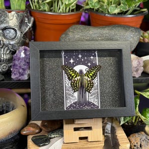 May include: Framed artwork showing a butterfly with yellow and black wings against a starry sky. The black framed art piece is displayed on a wooden stand. The image is surrounded by decorative items, including plants and a skull-shaped ornament.