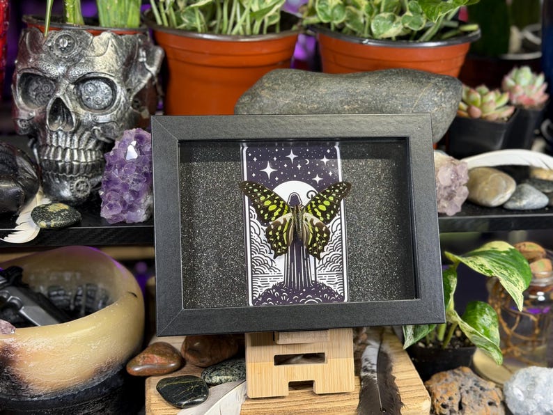 May include: Framed artwork showing a butterfly with yellow and black wings against a starry sky. The black framed art piece is displayed on a wooden stand. The image is surrounded by decorative items, including plants and a skull-shaped ornament.