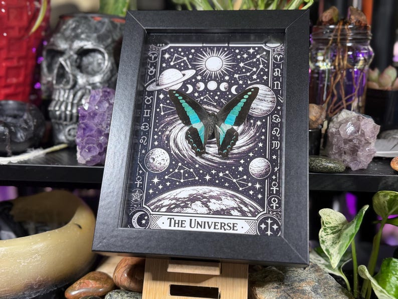 Op de afbeelding: Een ingelijst kunstwerk met een vlinder met zwarte en turquoise vleugels, tegen een zwart-witte hemelse achtergrond. Het kunstwerk bevat planeten, sterren en de tekst "The Universe". De lijst is zwart.