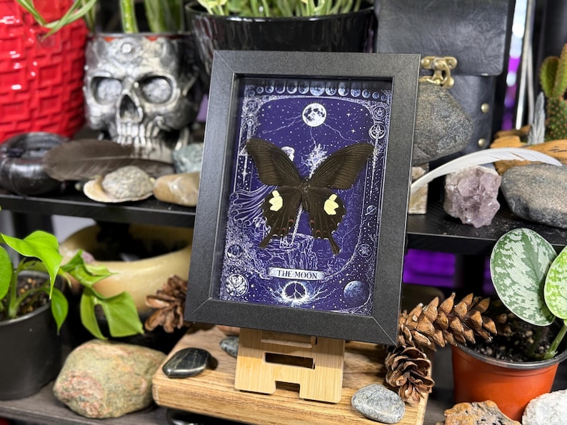 May include: A framed artwork featuring a black butterfly with yellow markings against a dark blue background with celestial illustrations. The frame is black, and the artwork is displayed on a wooden easel. The text "THE MOON" is visible.