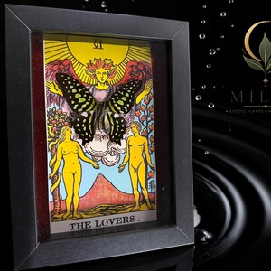 May include: A framed tarot card titled The Lovers featuring a central black and yellow butterfly mounted over the illustration of two figures, a sun, and a mountain. The frame is black and rectangular, and the text Mila's Exotic Plants and Curiosities is visible in the upper right corner.