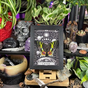 Madagascan Sunset Moth “Chaos” Dorsal Framed Specimen Art | Chrysiridia rhipheus Gothic Rainbow Decor image 5