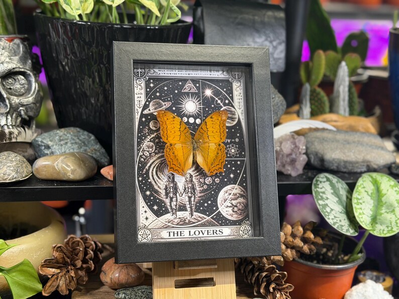 K&ouml;nnte beinhalten: Gerahmtes Kunstwerk mit einem Schmetterling mit orangefarbenen Fl&uuml;geln, vor einem schwarz-wei&szlig;en Himmelsgrund. Das Kunstwerk ist in einem schwarzen rechteckigen Rahmen gerahmt und enth&auml;lt den Text "THE LOVERS" am unteren Rand. Das Kunstwerk wird auf einem Holzst&auml;nder ausgestellt.