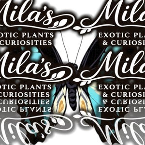 Blå flaskhalsfjäril PNG-paket | 13 Graphium sarpedon 300 DPI digitala clipartfiler bild 19