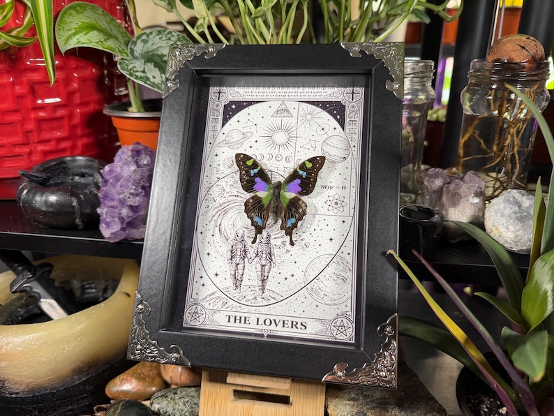 K&ouml;nnte beinhalten: Schwarz gerahmtes Kunstwerk mit einem Schmetterling mit lila, blauen und gr&uuml;nen Fl&uuml;geln. Das Kunstwerk enth&auml;lt eine Schwarz-Wei&szlig;-Illustration von zwei Figuren und Himmelselementen. Der Text "THE LOVERS" befindet sich am unteren Rand des Kunstwerks.