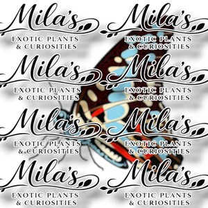 May include: A butterfly with brown, blue, and red markings is centered in a white background. The words "Mila's Exotic Plants & Curiosities" are repeated multiple times in a decorative font around the butterfly.