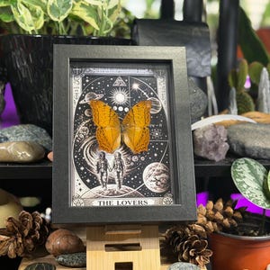 K&ouml;nnte beinhalten: Ein gerahmtes Kunstwerk mit einem konservierten Schmetterling mit orangefarbenen und braunen Fl&uuml;geln, vor einer schwarz-wei&szlig;en kosmischen Illustration. Das Kunstwerk enth&auml;lt den Text "THE LOVERS" und wird auf einer Holzstaffelei ausgestellt.