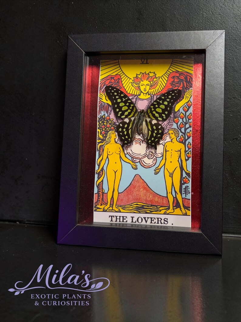 May include: A framed artwork featuring The Lovers tarot card with a large, dark butterfly with green spots mounted over the central figure. The card displays two yellow figures, a sun, and a mountain landscape. The frame is black with red accents.