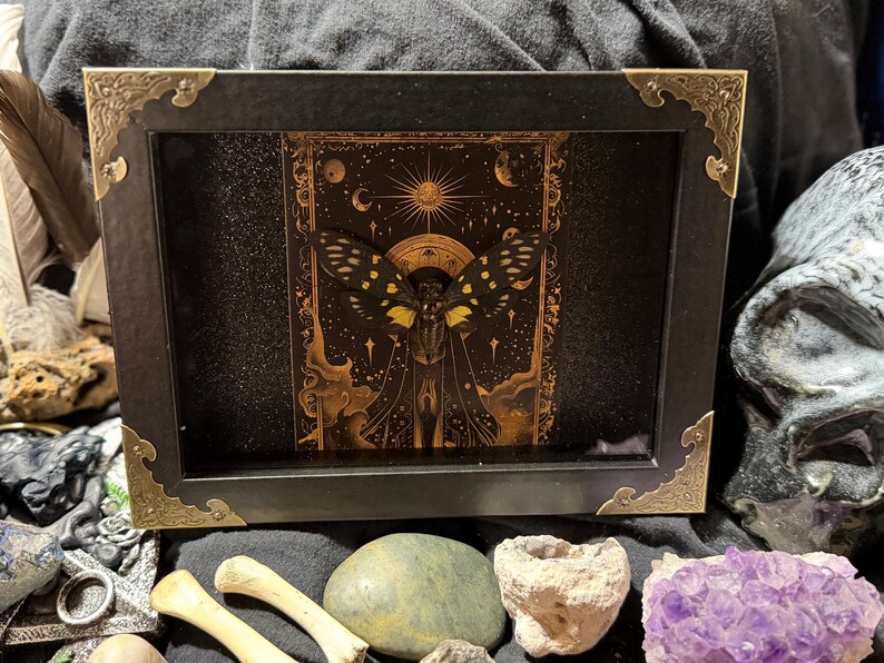 May include: A framed artwork featuring a black and gold moth with intricate wing patterns. The artwork is set against a dark background with celestial designs and framed in a black box with gold corner accents. The artwork is surrounded by crystals and bones.