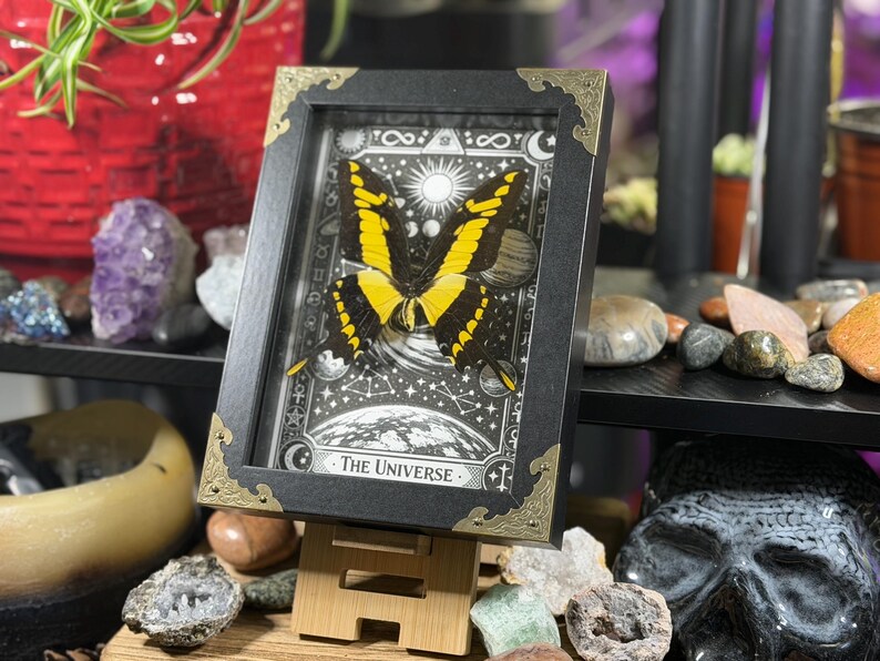 Spécimen encadré du Grand Machaon jaune « L’Univers » | Décoration de Tarot Céleste image 4