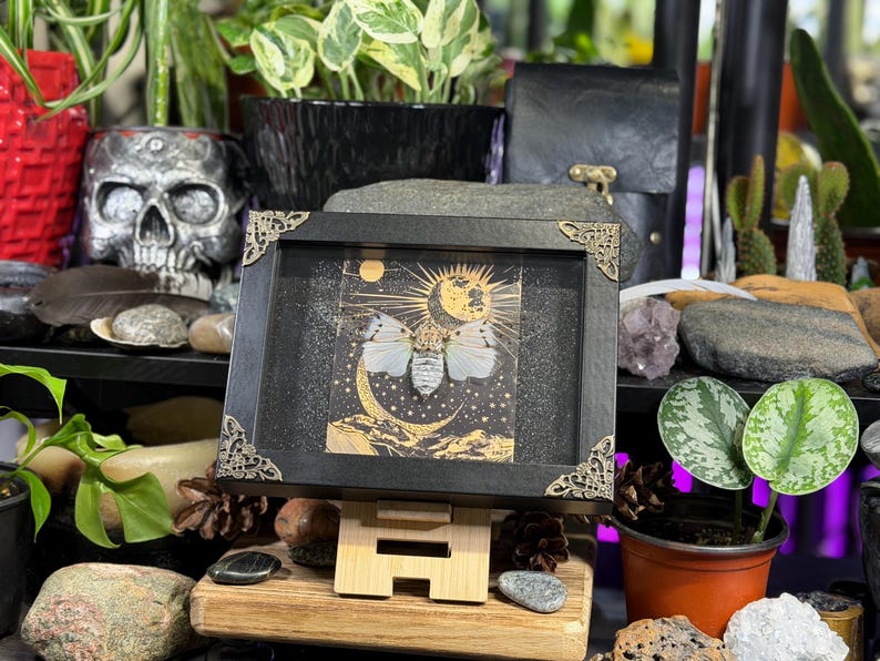 May include: A framed artwork featuring a moth with a celestial design. The black frame has ornate corner details. The artwork depicts a moth with a moon and sun design in gold and white. The artwork is displayed on a wooden easel.