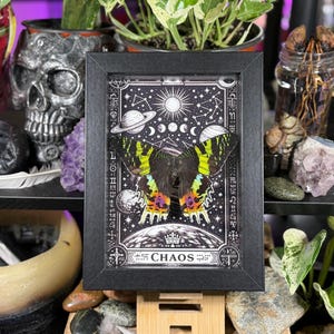 Madagascan Sunset Moth “Chaos” Dorsal Framed Specimen Art | Chrysiridia rhipheus Gothic Rainbow Decor image 1