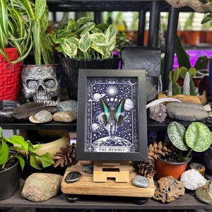Blue Bottleneck “The Hermit Celestial Wanderer” Framed Specimen Art | Graphium sarpedon Tarot Decor bild 5