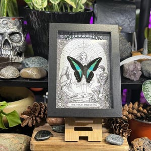 May include: A framed black and white illustration of "The High Priestess" tarot card, featuring a woman with a butterfly and two figures. The butterfly has teal and black wings. The frame is displayed on a wooden stand, surrounded by plants and decorative items.