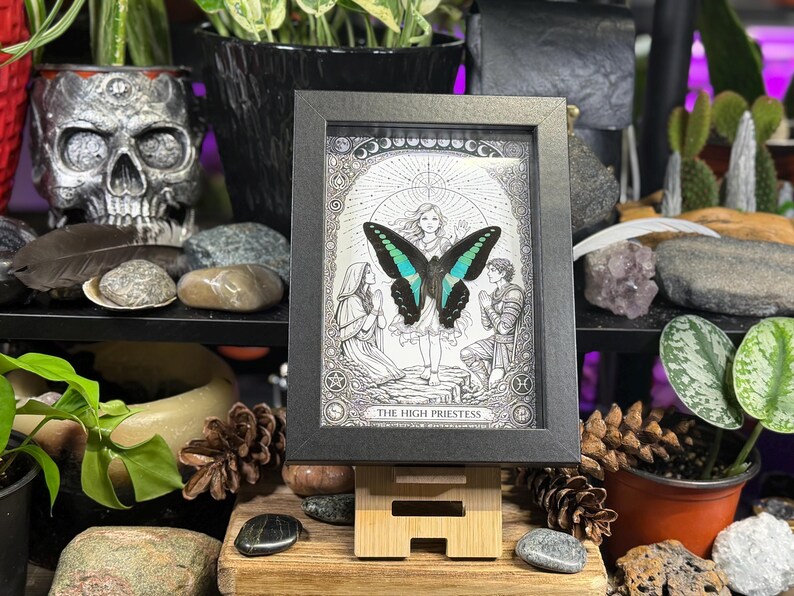 May include: A framed black and white illustration of "The High Priestess" tarot card, featuring a woman with a butterfly and two figures. The butterfly has teal and black wings. The frame is displayed on a wooden stand, surrounded by plants and decorative items.