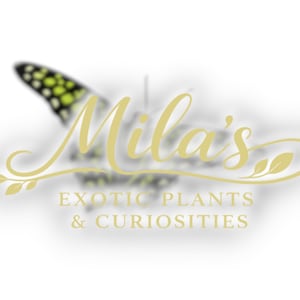 May include: A logo for "Mila's Exotic Plants & Curiosities" featuring gold script lettering, a butterfly wing, and leaf motifs. The design is set against a blurred white backdrop, indicating a focus on unusual plants.