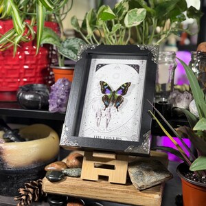 K&ouml;nnte beinhalten: Ein gerahmtes Kunstwerk mit einem Schmetterling mit blauen, gr&uuml;nen und violetten Fl&uuml;geln vor einem himmlischen Hintergrund. Der schwarze Rahmen hat silberne Eckakzente. Der Text "THE LOVERS" ist sichtbar.