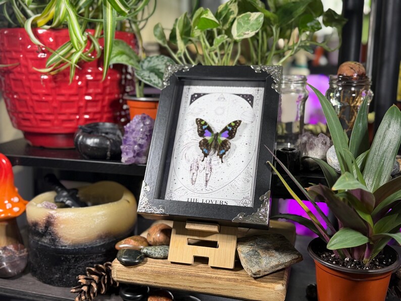 K&ouml;nnte beinhalten: Ein gerahmtes Kunstwerk mit einem Schmetterling mit blauen, gr&uuml;nen und violetten Fl&uuml;geln vor einem himmlischen Hintergrund. Der schwarze Rahmen hat silberne Eckakzente. Der Text "THE LOVERS" ist sichtbar.