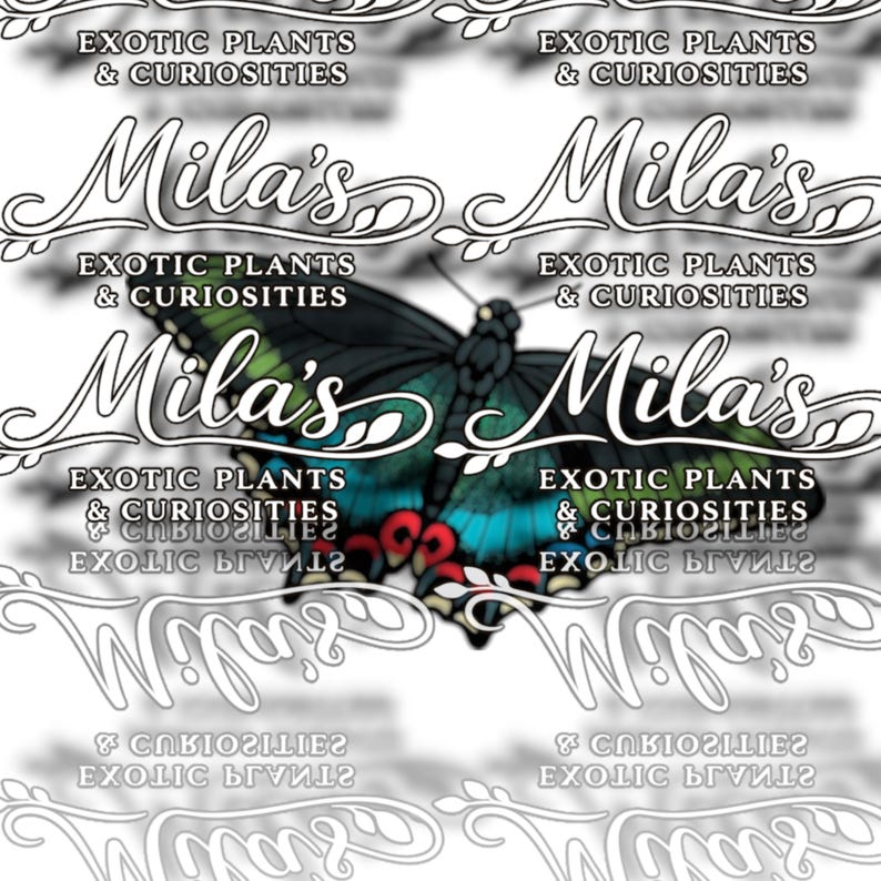 May include: A vibrant butterfly with blue, green, and red markings dominates the image. The name "Mila's" is written in an elegant script, with the words "Exotic Plants & Curiosities" repeated in the background.